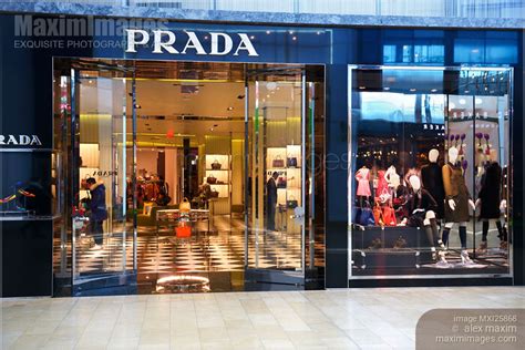 Prada canada